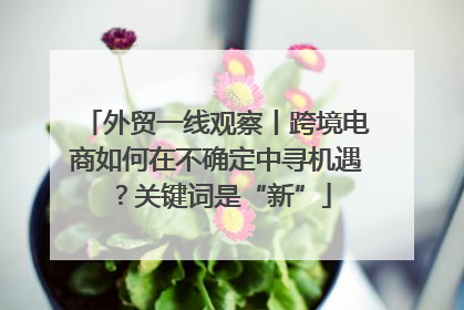 外贸一线观察丨跨境电商如何在不确定中寻机遇？关键词是“新”