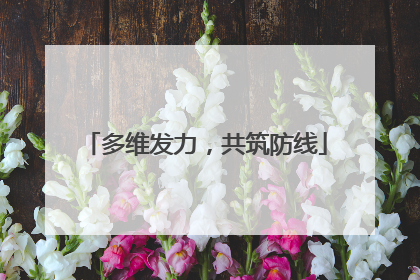 多维发力，共筑防线