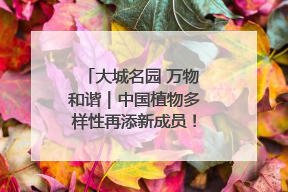 大城名园 万物和谐｜中国植物多样性再添新成员！它只在西藏墨脱