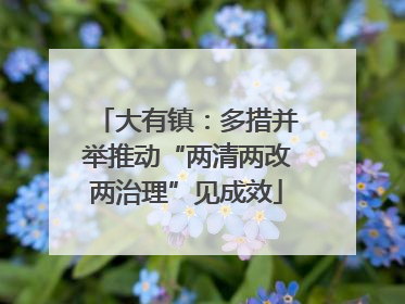 大有镇：多措并举推动“两清两改两治理”见成效