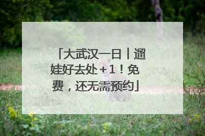 大武汉一日︱遛娃好去处＋1！免费，还无需预约