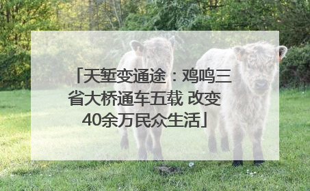 天堑变通途：鸡鸣三省大桥通车五载 改变40余万民众生活
