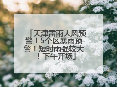 天津雷雨大风预警！5个区暴雨预警！短时雨强较大！下午开场