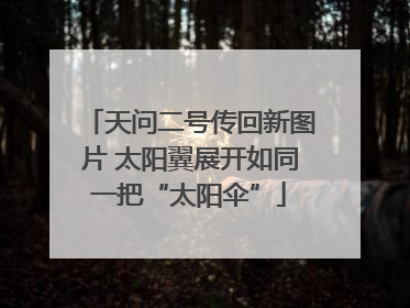 天问二号传回新图片 太阳翼展开如同一把“太阳伞”