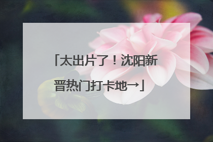 太出片了！沈阳新晋热门打卡地→