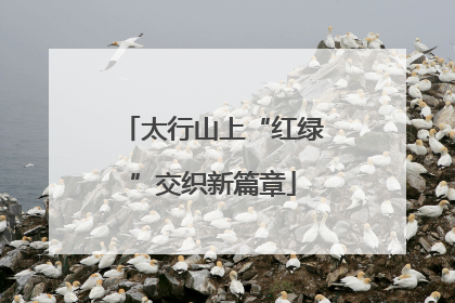 太行山上“红绿”交织新篇章