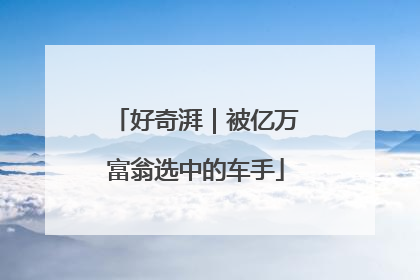 好奇湃｜被亿万富翁选中的车手