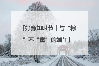 好豫知时节丨与“粽”不“童”的端午