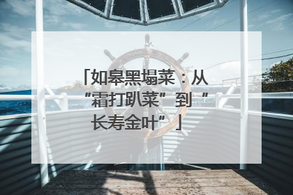 如皋黑塌菜：从“霜打趴菜”到“长寿金叶”