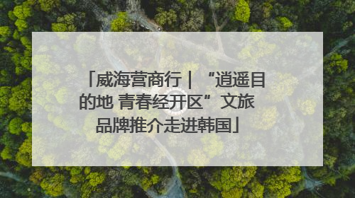 威海营商行｜“逍遥目的地 青春经开区”文旅品牌推介走进韩国
