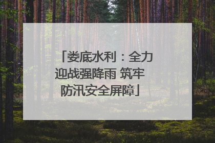 娄底水利：全力迎战强降雨 筑牢防汛安全屏障