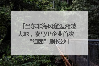 当东非海风邂逅湘楚大地，索马里企业首次“组团”刷长沙