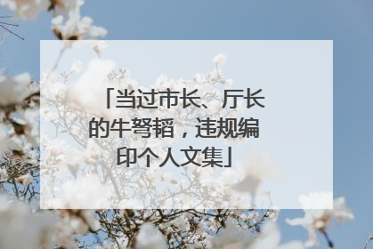 当过市长、厅长的牛弩韬，违规编印个人文集