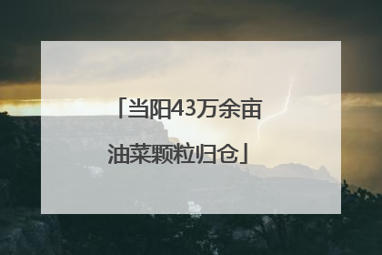 当阳43万余亩油菜颗粒归仓