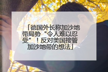 德国外长称加沙地带局势“令人难以忍受”！反对美国接管加沙地带的想法