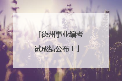 德州事业编考试成绩公布！