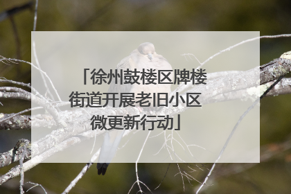 徐州鼓楼区牌楼街道开展老旧小区微更新行动