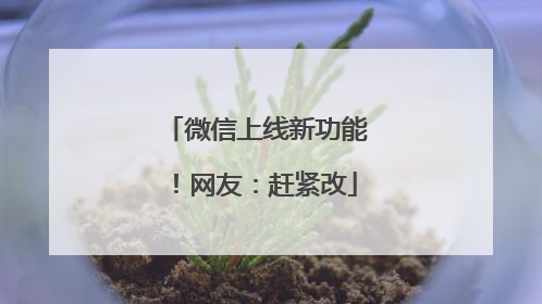 微信上线新功能！网友：赶紧改