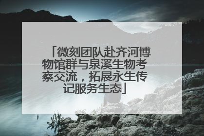 微刻团队赴齐河博物馆群与泉溪生物考察交流，拓展永生传记服务生态