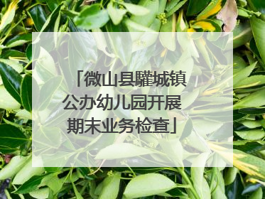 微山县驩城镇公办幼儿园开展期末业务检查