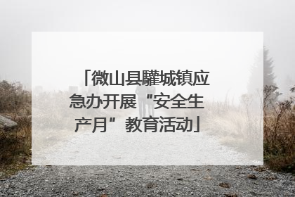 微山县驩城镇应急办开展“安全生产月”教育活动