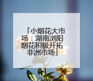 小烟花大市场：湖南浏阳烟花积极开拓非洲市场
