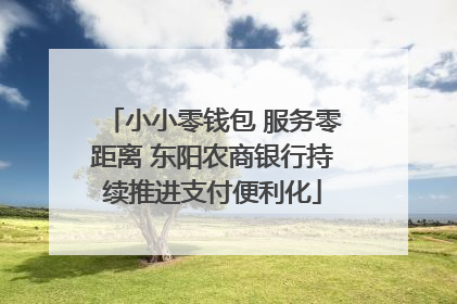 小小零钱包 服务零距离 东阳农商银行持续推进支付便利化