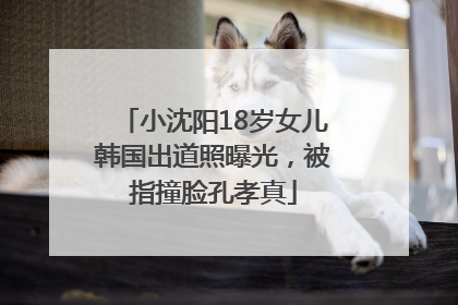 小沈阳18岁女儿韩国出道照曝光，被指撞脸孔孝真