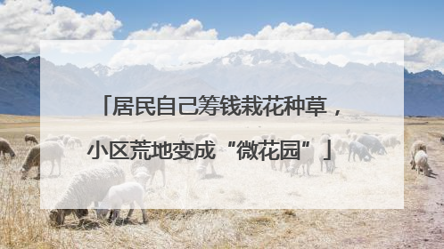 居民自己筹钱栽花种草，小区荒地变成“微花园”