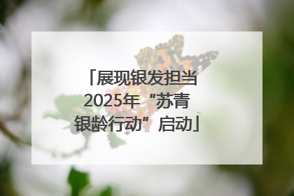 展现银发担当 2025年“苏青银龄行动”启动