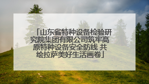 山东省特种设备检验研究院集团有限公司筑牢高原特种设备安全防线 共绘拉萨美好生活画卷
