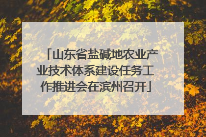 山东省盐碱地农业产业技术体系建设任务工作推进会在滨州召开