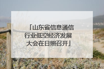 山东省信息通信行业低空经济发展大会在日照召开