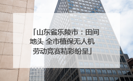 山东省乐陵市：田间地头 全市植保无人机劳动竞赛精彩纷呈