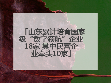 山东累计培育国家级“数字领航”企业18家 其中民营企业牵头10家