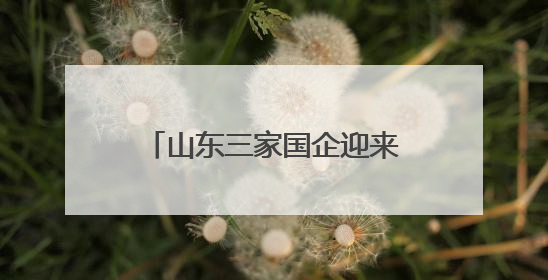 山东三家国企迎来新任 “一把手”