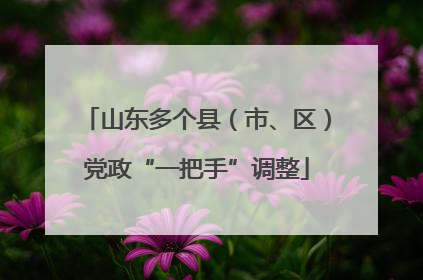 山东多个县（市、区）党政“一把手”调整