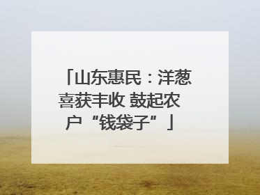 山东惠民：洋葱喜获丰收 鼓起农户“钱袋子”