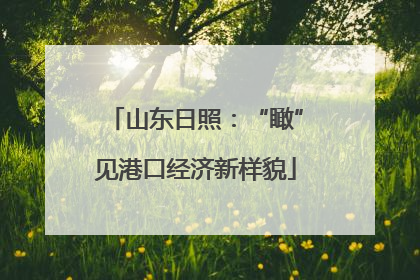 山东日照：“瞰”见港口经济新样貌