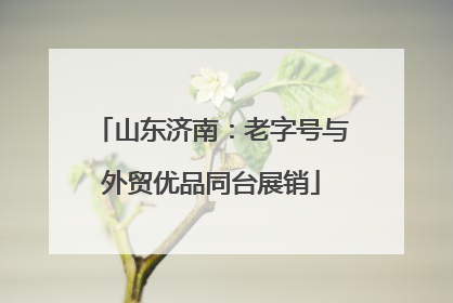 山东济南：老字号与外贸优品同台展销
