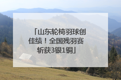 山东轮椅羽球创佳绩！全国残羽赛斩获3银1铜