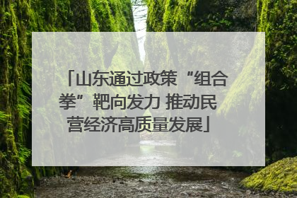 山东通过政策“组合拳”靶向发力 推动民营经济高质量发展