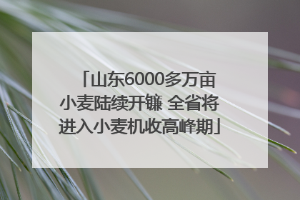 山东6000多万亩小麦陆续开镰 全省将进入小麦机收高峰期