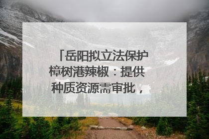 岳阳拟立法保护樟树港辣椒：提供种质资源需审批，违规最高罚5万