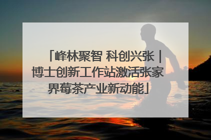 峰林聚智 科创兴张｜博士创新工作站激活张家界莓茶产业新动能