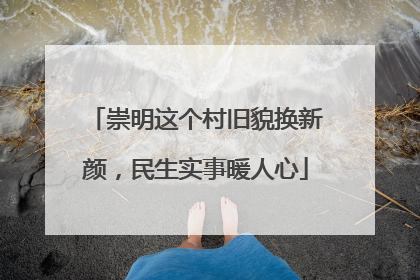 崇明这个村旧貌换新颜，民生实事暖人心