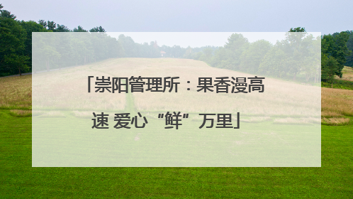崇阳管理所：果香漫高速 爱心“鲜”万里