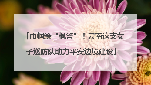 巾帼绘“枫警”！云南这支女子巡防队助力平安边境建设