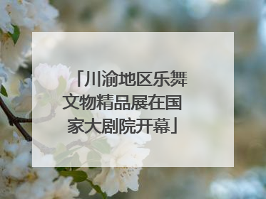 川渝地区乐舞文物精品展在国家大剧院开幕