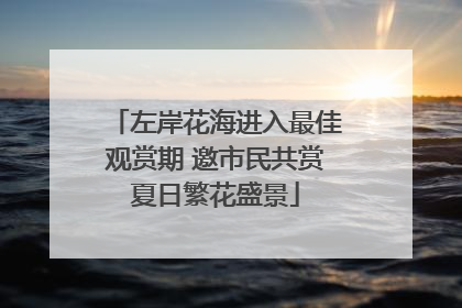 左岸花海进入最佳观赏期 邀市民共赏夏日繁花盛景